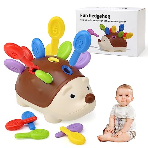 BelleStyle Steckspiel 18 Monate, Igel Montessori Spielzeug Baby, Motorikspielzeug Trainiert Hand Auge Koordination Kleinkind Lernspielzeug Geschenke für Kinder Jungen Mädchen ab 2 3 Jahr BelleStyle Steckspiel 18 Monate, Igel Montessori Spielzeug Baby, Motorikspielzeug Trainiert Hand Auge Koordination Kleinkind Lernspielzeug Geschenke für Kinder Jungen Mädchen ab 2 3 Jahr von BelleStyle