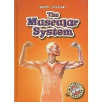 The Muscular System von Bellwether Media