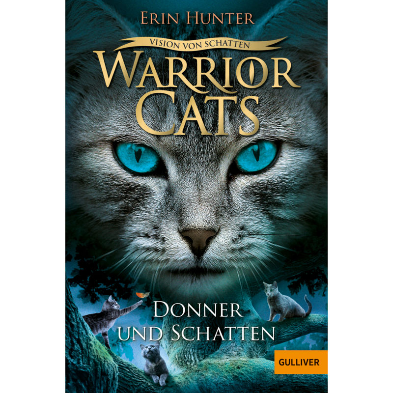 Donner und Schatten / Warrior Cats Staffel 6 Bd.2 von Beltz