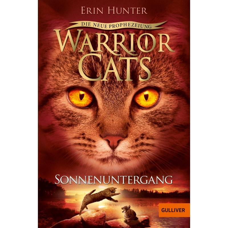 Sonnenuntergang / Warrior Cats Staffel 2 Bd.6 von Beltz
