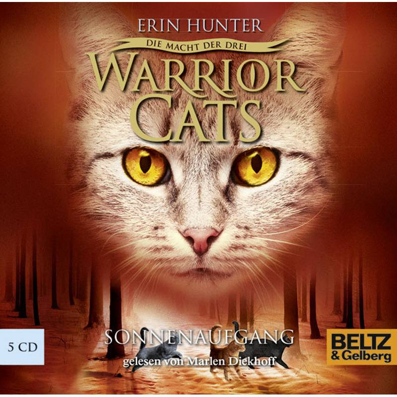 Warrior Cats Staffel 3 - 6 - Sonnenaufgang von Beltz