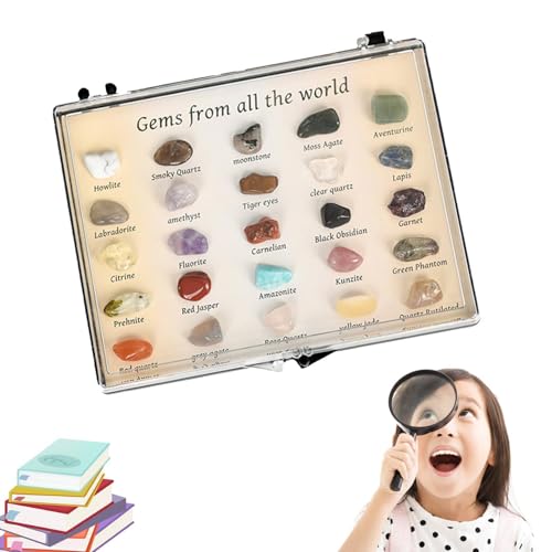Rock-Sammlung – Erziehungs-Set für Steine und natürliche Mineralien, Rock Collection für die Verriegelung natürlicher Orchideenkristalle Rock-Sammlung – Erziehungs-Set für Steine und natürliche Mineralien, Rock Collection für die Verriegelung natürlicher Orchideenkristalle von Berriphonia