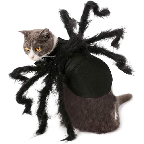 Spider Halloween -Kostüm Für Haustiere, Simulationspartykleider Für Hunde Und Katzen, Halloween -Party -Kostüm, Bühnenobjekte Für Katzen, Welpen, UndSpinnen -Cat -Kostüm Spinne Für Katze Für Hal von Berriphonia