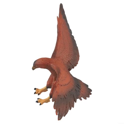 Besshepplo Realistische Dekoration für Adler, Kunststoff-Modell, perfekt zum Lernen von Wildtieren und zur Verbesserung der Räume von Besshepplo