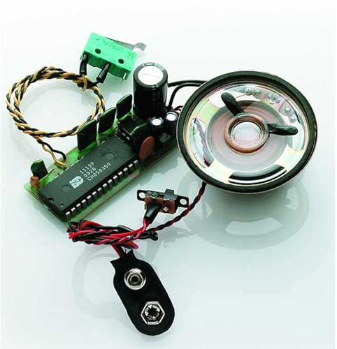 Best Price Square Benzin/Diesel-Motor mit Horn, PKW/LKW, 105 dB, Automobil-Hupe, Horn, Fahrzeughorn Best Price Square Benzin/Diesel-Motor mit Horn, PKW/LKW, 105 dB, Automobil-Hupe, Horn, Fahrzeughorn von Best Price Square