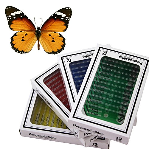 WhizKidsLab 48Stk Tiere Insekten Pflanzen Blumen Kunststoff Mikroskop Folien Set Schmetterling Muster von WhizKidsLab