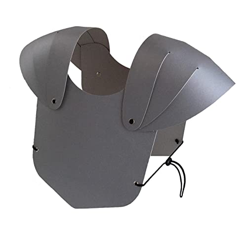 BestSaller 1312 Brustpanzer für Kinder, Stabiler Karton, fertig montiert, Silber BestSaller 1312 Brustpanzer für Kinder, Stabiler Karton, fertig montiert, Silber von BestSaller
