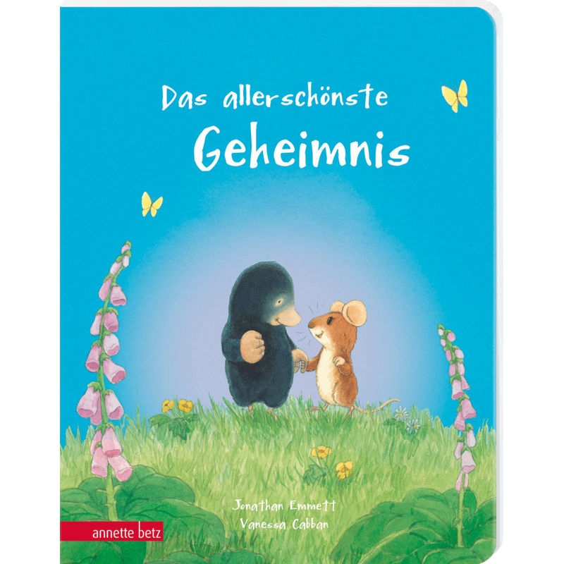Das allerschönste Geheimnis - Ein liebevolles Pappbilderbuch über Freundschaft von Betz, Wien