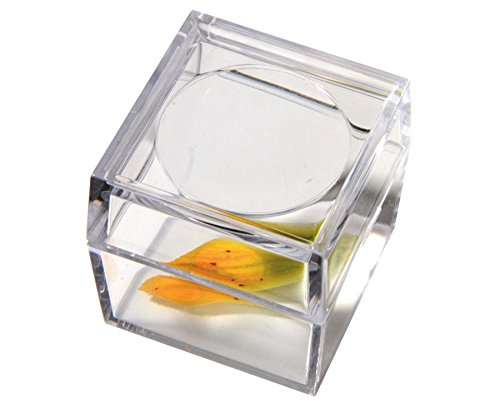 Betzold - Vitrinen-Lupe, 3-Fach vergrößernd - Vergrößerungsglas Lupe Biologie von Betzold