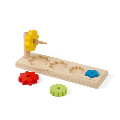 Bigjigs Toys Blumensortierer – Holzform-Sortier- und Stapelspielzeug, pädagogisch & umweltfreundlich, frühes Lernen, Montessori-Geschenke für Babys und Kleinkinder, nachhaltig hergestellt, Alter 12+ von Bigjigs Toys