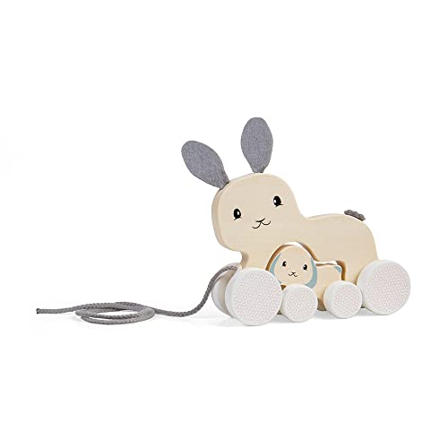 Bigjigs Toys FSC-zertifiziertes Hasen- und Babyspielzeug zum Mitziehen – umweltfreundliches Kaninchen-Ziehspielzeug mit Schnur & Babyhasen-Push-Along, hochwertiges Nachziehspielzeug für 1 Jahr, von Bigjigs Toys