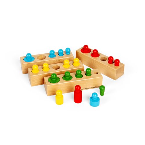 Bigjigs Toys - Holzstiftblöcke - 24 -teilige Größe & Formsortierer, nachhaltig gemachtes Montessori -Spielzeug, frühe Lernressourcen für Kinder, 2+ Jahre von Bigjigs Toys