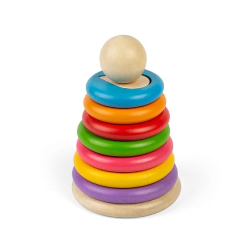 Bigjigs Toys Secret Shape Stacker – 16-teiliges Montessori-Stapel- und Sortierpuzzle, pädagogisches und umweltfreundliches Geschenk für Kleinkinder, nachhaltig hergestellt, Alter 12 Monate von Bigjigs Toys