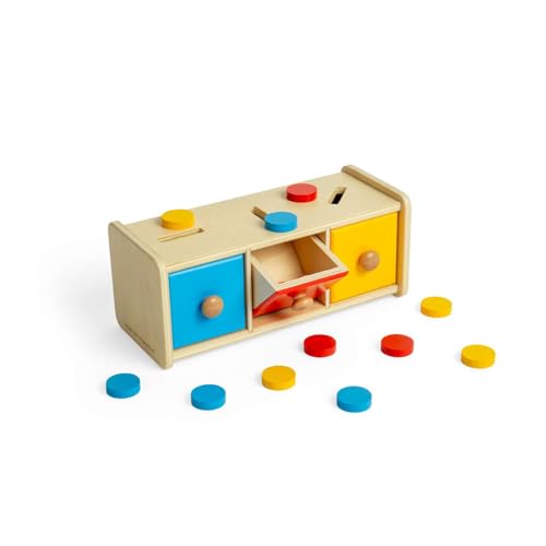 Bigjigs Toys Spielstein-Sortierer – 16 Stück Holz Montessori Farbabstimmung Spielzeug, pädagogische frühes Lernen Aktivität für Kleinkinder, nachhaltig hergestellt, Alter 12+ Monate alt von Bigjigs Toys