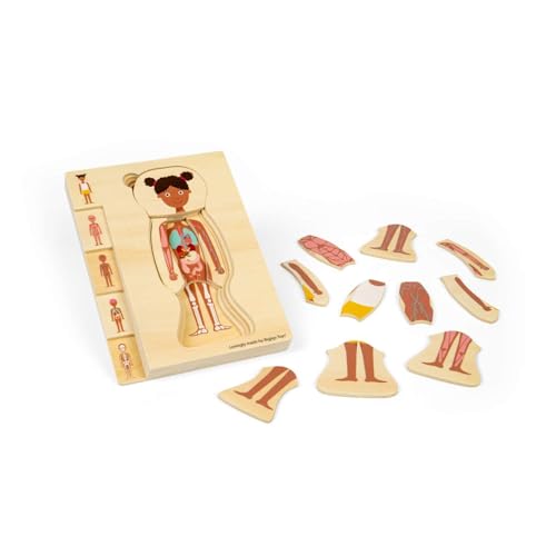 Bigjigs Toys Weibliche Anatomie Puzzle - 26pcs Human Body Jigsaw Set, Wooden Jigsaws, Learn & Play Science Toy For Children, Educational Puzzles, Pre School Resources, Age 3 Years + von Bigjigs Toys