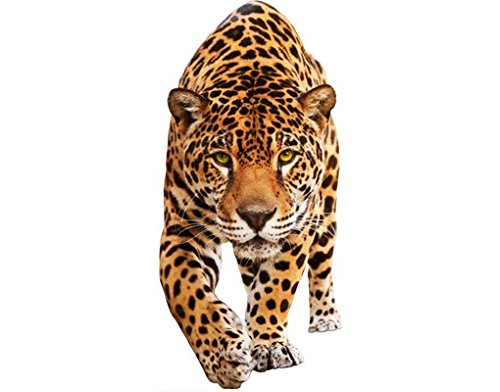 Bilderwelten Wandtattoo Tiger Löwe No.648 Creeping Jaguar, Größe HxB:95cm x 45cm Bilderwelten Wandtattoo Tiger Löwe No.648 Creeping Jaguar, Größe HxB:95cm x 45cm von Apalis