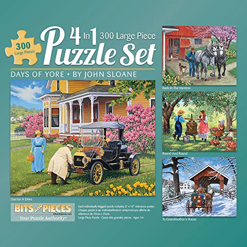 Bits and Pieces - 300 Teile Puzzle für Erwachsene 40,6 x 50,8 cm (4-in-1-Multi-Pack John Sloane Collection One) von Bits and Pieces