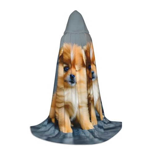 Bkdogkt Kapuzenumhang mit Zwergspitzen, Unisex, für Zauberer, Karneval, Halloween, Weihnachten, Cosplay, Robe Bkdogkt Kapuzenumhang mit Zwergspitzen, Unisex, für Zauberer, Karneval, Halloween, Weihnachten, Cosplay, Robe von Bkdogkt
