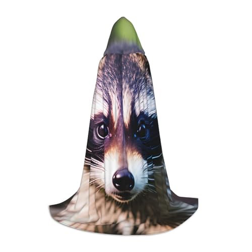 Bkdogkt Little Raccoon Face 1 Print Unisex Kapuzenumhang für Zauberer Karneval Halloween Weihnachten Cosplay Kostüm Robe von Bkdogkt