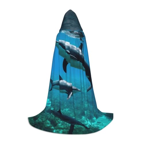 Bkdogkt Lustiger Tier-Delfin-Druck, Unisex, Kapuzenumhang für Zauberer, Karneval, Halloween, Weihnachten, Cosplay, Robe von Bkdogkt