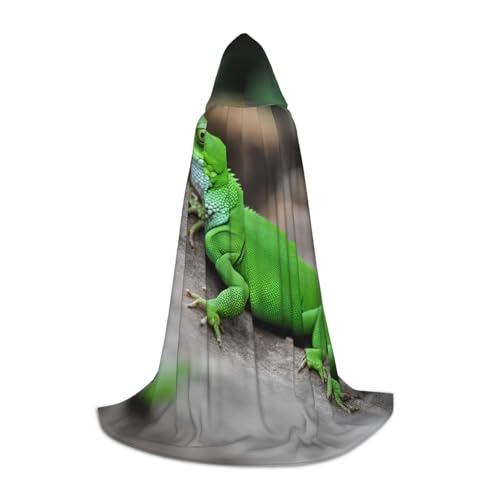 Bkdogkt Umhang mit Kapuze und grünem Eidechsenaufdruck, Unisex, für Zauberer, Karneval, Halloween, Weihnachten, Cosplay, Robe Bkdogkt Umhang mit Kapuze und grünem Eidechsenaufdruck, Unisex, für Zauberer, Karneval, Halloween, Weihnachten, Cosplay, Robe von Bkdogkt
