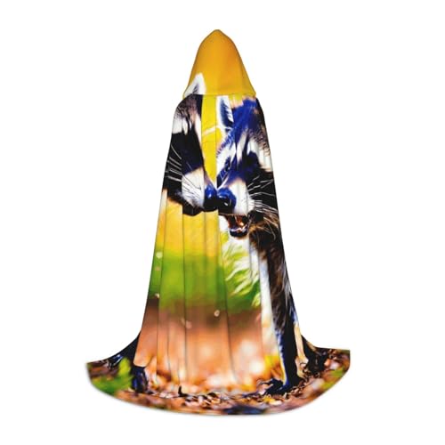 Bkdogkt Unisex Kapuzenumhang mit süßem Waschbär-Druck, für Zauberer, Karneval, Halloween, Weihnachten, Cosplay, Robe Bkdogkt Unisex Kapuzenumhang mit süßem Waschbär-Druck, für Zauberer, Karneval, Halloween, Weihnachten, Cosplay, Robe von Bkdogkt