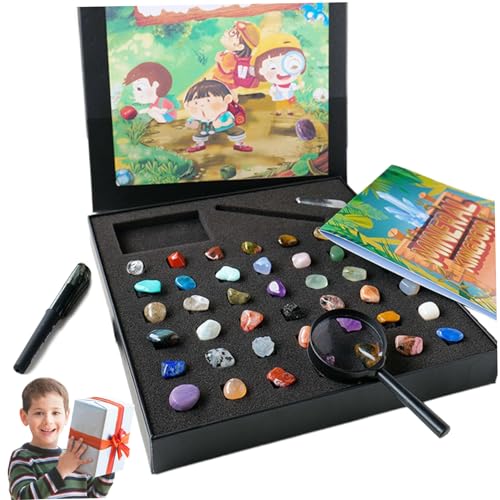 Blablablalu 43pcs Rocksammlungen für Kinder, 43 Verschiedene Edelsteine ​​für Kinder, Rockkollektion mit Box, Mineral Education Set Science Geschenk für Jungen GirlsRock -Sammlungen für von Blablablalu