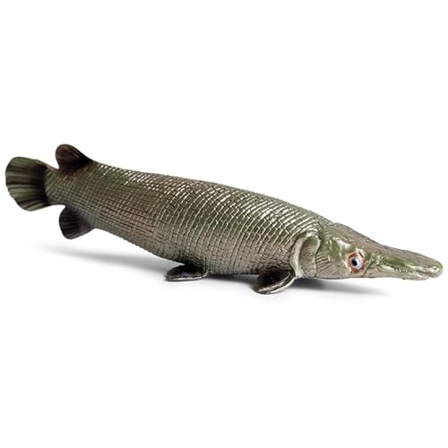 Blablablalu Sea Animal Toys Realistic Plastic Fish Tierfiguren Simulierte Ozeanspielzeugmodell Dekoration Frühes Bildungs ​​Meer Kreaturen Spielzeug für Kinder Kleinkinder von Blablablalu