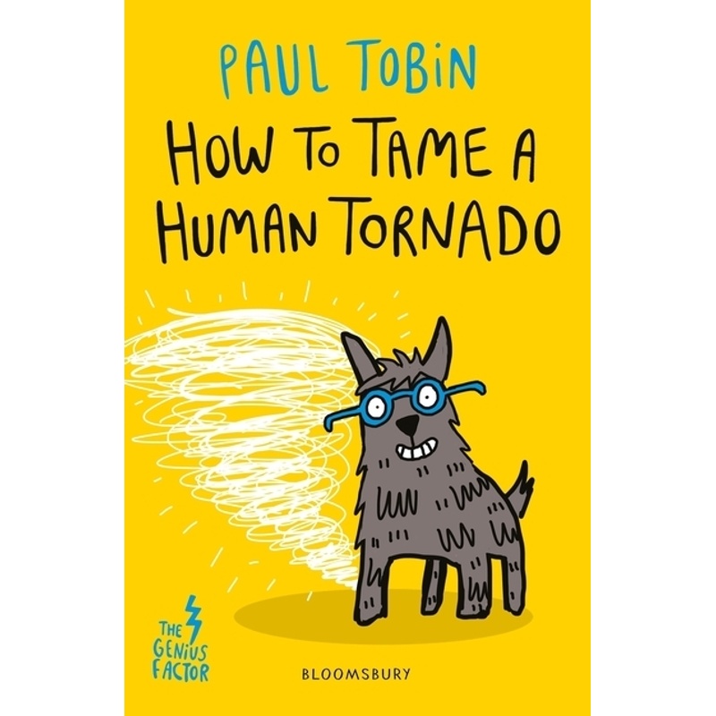How to Tame a Human Tornado von Bloomsbury Trade