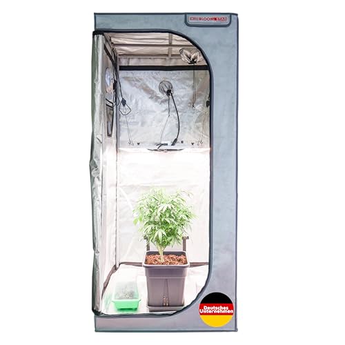 Bloomstar by Crescience Growzelt Box M 80x80x180 cm – Robustes Indoor Zelt mit 1680D Gewebe, lichtdicht, reflektierendem Mylar, Stabiler Stahlrahmen, ideal für Homegrow & Hydrokultur von Bloomstar