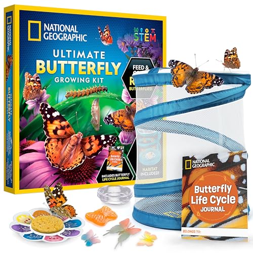National Geographic Ultimate Butterfly Growing Kit - Butterfly Activity Kit mit Gutschein für 5 lebende Raupen, Schmetterlingskäfig, Schmetterlingsfutterstation National Geographic Ultimate Butterfly Growing Kit - Butterfly Activity Kit mit Gutschein für 5 lebende Raupen, Schmetterlingskäfig, Schmetterlingsfutterstation von Blue Marble