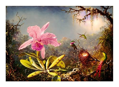 Bluebird Puzzle - Cattleya Orchid and Three Hummingbirds, Martin Johnson Heade - 1000 Teile - (60097) von Bluebird Puzzle