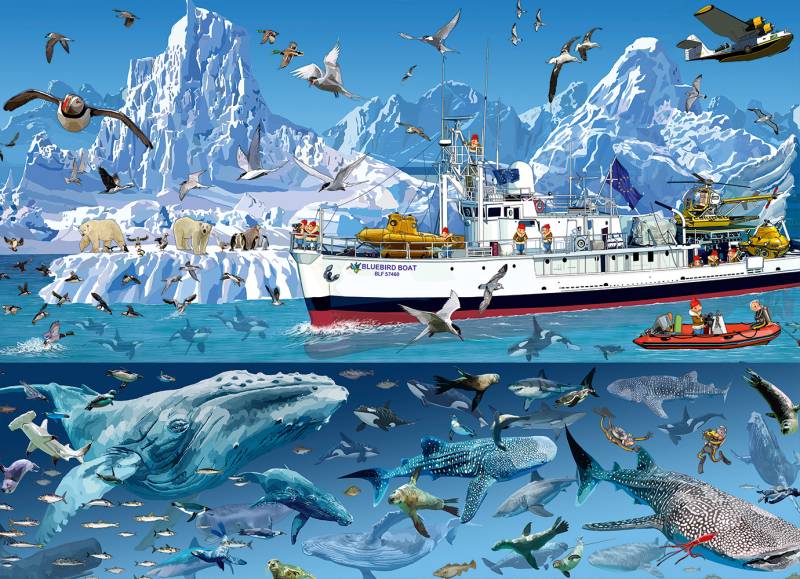Bluebird Puzzle François Ruyer - Arctic - Bluebird Boat 1500 Teile Puzzle Bluebird-Puzzle-F-90038 Bluebird Puzzle François Ruyer - Arctic - Bluebird Boat 1500 Teile Puzzle Bluebird-Puzzle-F-90038 von Bluebird Puzzle