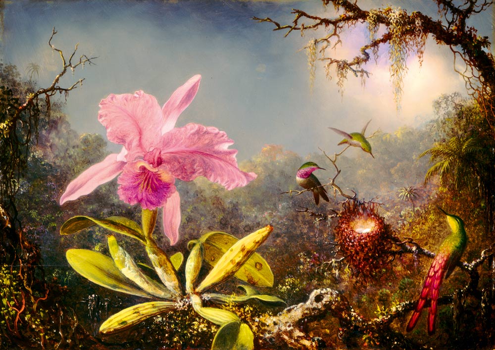 Bluebird Puzzle Martin Johnson Heade - Cattleya Orchid and Three Hummingbirds, 1871 1000 Teile Puzzle Art-by-Bluebird-60097 von Bluebird Puzzle