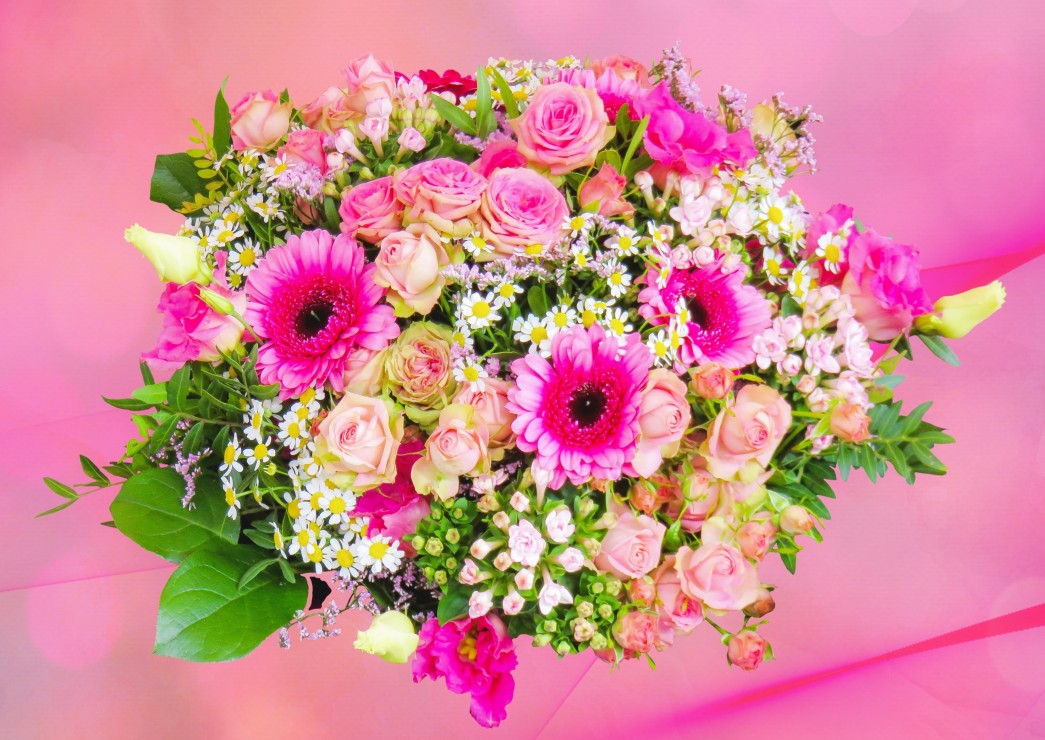 Bluebird Puzzle Pink Bouquet of Roses 500 Teile Puzzle Bluebird-Puzzle-F-90108 Bluebird Puzzle Pink Bouquet of Roses 500 Teile Puzzle Bluebird-Puzzle-F-90108 von Bluebird Puzzle