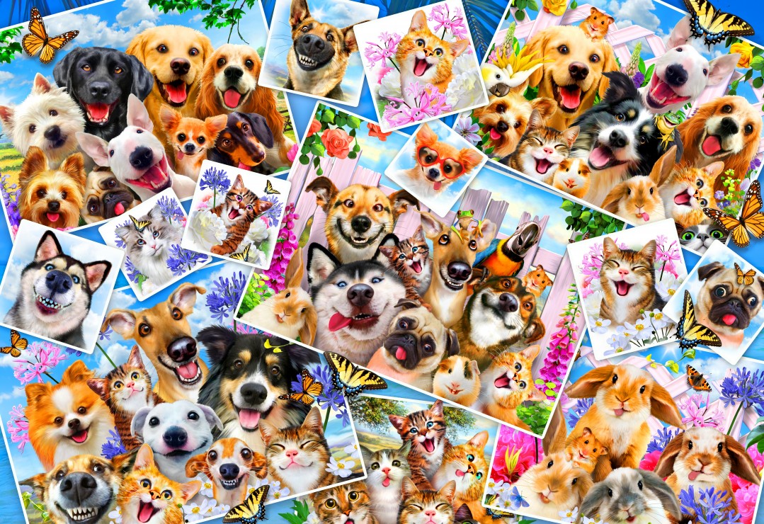 Bluebird Puzzle Selfie Pet Collage 300 Teile Puzzle Bluebird-Puzzle-F-90086 Bluebird Puzzle Selfie Pet Collage 300 Teile Puzzle Bluebird-Puzzle-F-90086 von Bluebird Puzzle