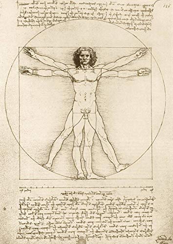 Bluebird Puzzle - The Vitruvian Man, Leonardo Da Vinci - 1000 Teile - (60009) von Bluebird