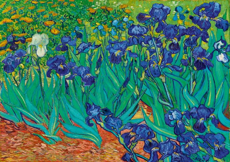 Bluebird Puzzle Vincent Van Gogh - Irises, 1889 1000 Teile Puzzle Art-by-Bluebird-60006 von Bluebird Puzzle