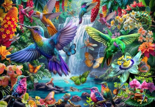 Bluebird Puzzle Tropical Hummingbirds - 1000 Teile von Bluebird