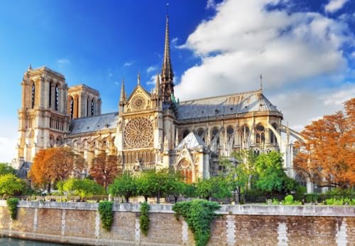 bluebird Puzzle Cathédrale Notre-Dame de Paris - 1000 Teile von Bluebird