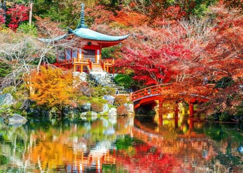bluebird Puzzle Temple Daigo-ji en Automne, Kyoto - 500 Teile bluebird Puzzle Temple Daigo-ji en Automne, Kyoto - 500 Teile von Bluebird