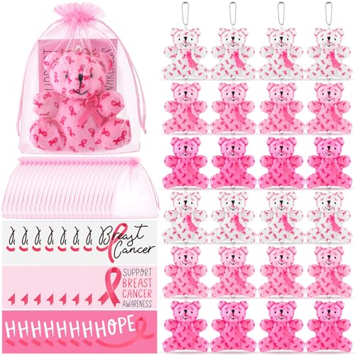 Blueweenly 24 Set Brustkrebs-Bewusstseins-Bären, Geschenk, 10,2 cm, rosa Schleife, Plüschbär, Mini-Bär, Stofftiere, Großkarten mit Organza-Beuteln für Frauen, Spendenaktionen von Blueweenly