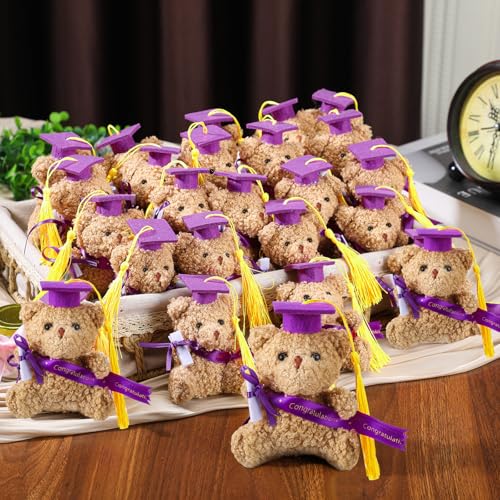 Blueweenly Mini-Teddybären, 24 Stück, Stofftiere zum Schulabschluss, 10,2 cm, kleiner Plüschbär mit Diplom, DIY-Geschenk, Abschlussfeier, Party-Dekoration, Glückwunschgeschenke (lila) von Blueweenly