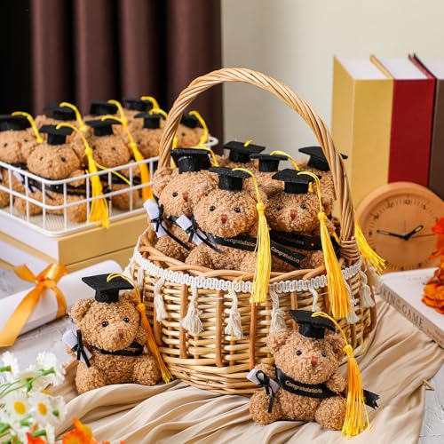Blueweenly Mini-Teddybären, 24 Stück, Stofftiere zum Schulabschluss, 10,2 cm, kleiner Plüschbär mit Diplom, DIY-Geschenk, Abschlussfeier, Party-Dekoration, Glückwunschgeschenke (schwarz) von Blueweenly