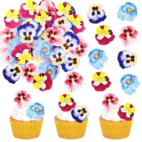40 Stück Essbare Stiefmütterchen Blumen Cupcake Toppers Tricolor Viola Tortendekoration Essbare Blumen Tortendekoration Baby Dusche Party Hochzeit Jahrestag Geburtstag Party Cupcake Dekoration 40 Stück Essbare Stiefmütterchen Blumen Cupcake Toppers Tricolor Viola Tortendekoration Essbare Blumen Tortendekoration Baby Dusche Party Hochzeit Jahrestag Geburtstag Party Cupcake Dekoration von Blumomon