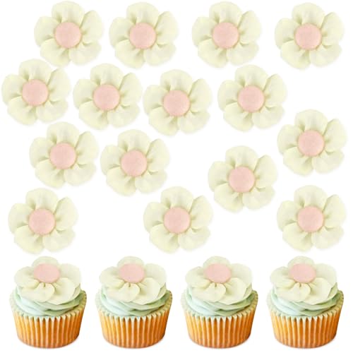 Blumomon 12 Stück Blumen Kuchen Topper Happy Birthday Künstliche Blume Kuchen Dekorationen Braut Verlobung Babyparty Geburtstag Party Cupcake Dekorationen Picks Jahrestag Party Dekorationen Supplies Blumomon 12 Stück Blumen Kuchen Topper Happy Birthday Künstliche Blume Kuchen Dekorationen Braut Verlobung Babyparty Geburtstag Party Cupcake Dekorationen Picks Jahrestag Party Dekorationen Supplies von Blumomon