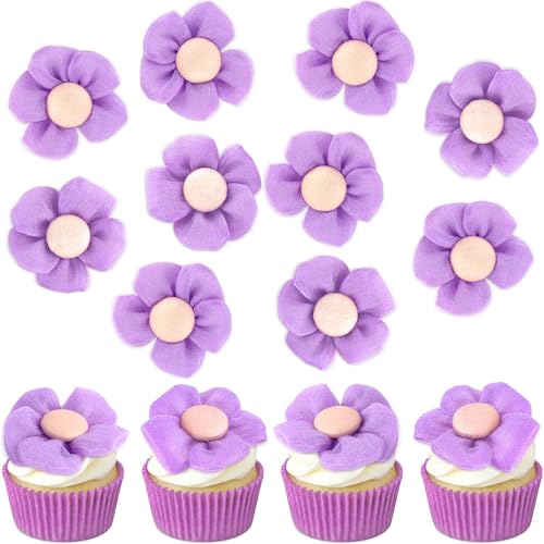 Blumomon 12Stück Blume Kuchen Topper Glückwunsch zum Geburtstag Künstliche Rose Kuchen Dekorationen Braut Verlobung BabyDusche Geburtstagsfeier Kuchen Topper Picks Jubiläumsfeier Dekorationen Zubehör Blumomon 12Stück Blume Kuchen Topper Glückwunsch zum Geburtstag Künstliche Rose Kuchen Dekorationen Braut Verlobung BabyDusche Geburtstagsfeier Kuchen Topper Picks Jubiläumsfeier Dekorationen Zubehör von Blumomon