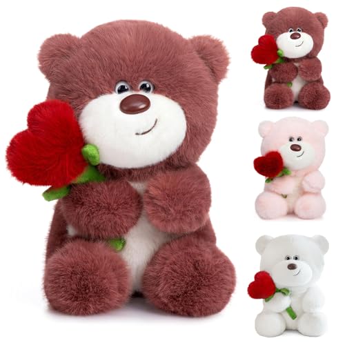 Bocguy Teddybär Plüsch, 28cm Teddybär mit Herz Rose, Stofftier Spielzeug Plüschtier Kuscheltier Geschenke für Freundin Kinder Geburtstag, Valentinstag von Bocguy