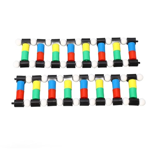 Bognajin DNA -Anzeigemodellkit, Doppelstruktur, PVC -Material, einfache Montage, farbenfrohes Design, ideal für biologische genetische Lehre und experimentelle DIY -Demonstration Bognajin DNA -Anzeigemodellkit, Doppelstruktur, PVC -Material, einfache Montage, farbenfrohes Design, ideal für biologische genetische Lehre und experimentelle DIY -Demonstration von Bognajin
