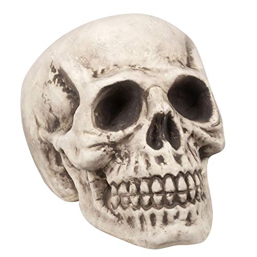 Boland 71988 - Schädel Bighead, Halloween-Accessoire, Halloween-Party Boland 71988 - Schädel Bighead, Halloween-Accessoire, Halloween-Party von Boland